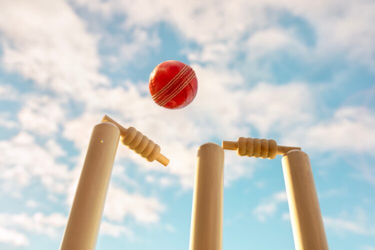 Some cricket wickets